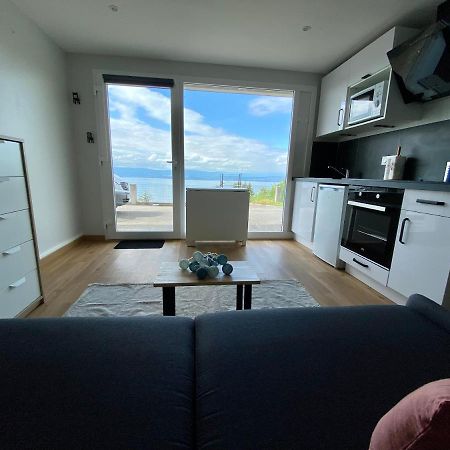 Appartement Les Vies en Rose à Évian-les-Bains Extérieur photo