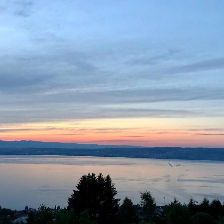 Appartement Les Vies en Rose à Évian-les-Bains Extérieur photo