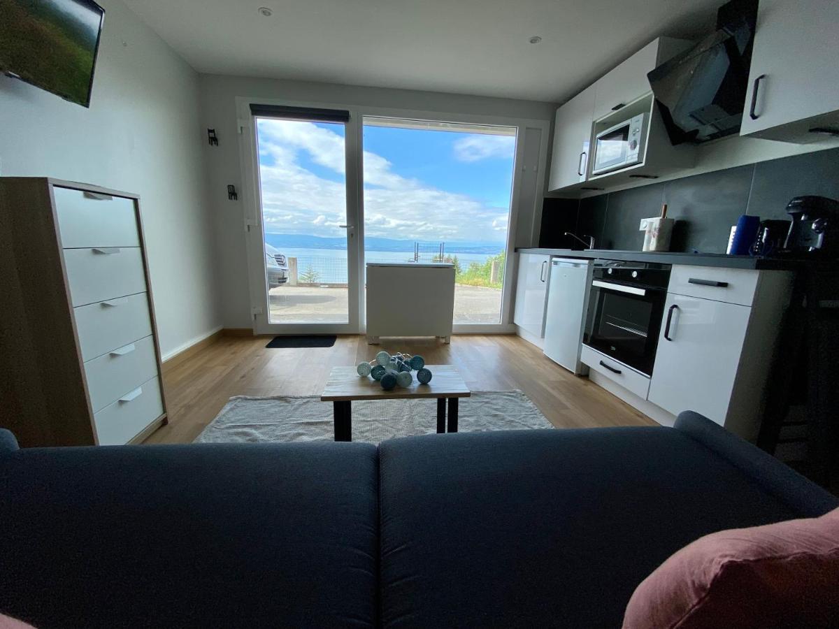 Appartement Les Vies en Rose à Évian-les-Bains Extérieur photo